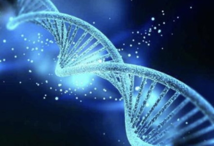 DNA E CODICE GENETICO, ARRIVA L'ALGORITMO BIOLOGICO CHE RIPARA DANNI E DEFAULT DELLE CELLULE