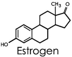 LA REGOLAZIONE DEI LIVELLI DI ESTROGENI: L'ESTROBOLOMA